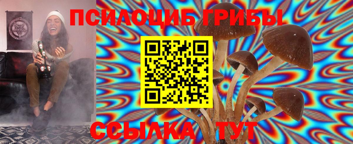 Галлюциногенные грибы GOLDEN TEACHER  Ноябрьск 